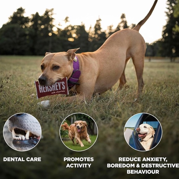 🍫 HERSHEYS DOG TOY 🍫 - Picture 2 of 4